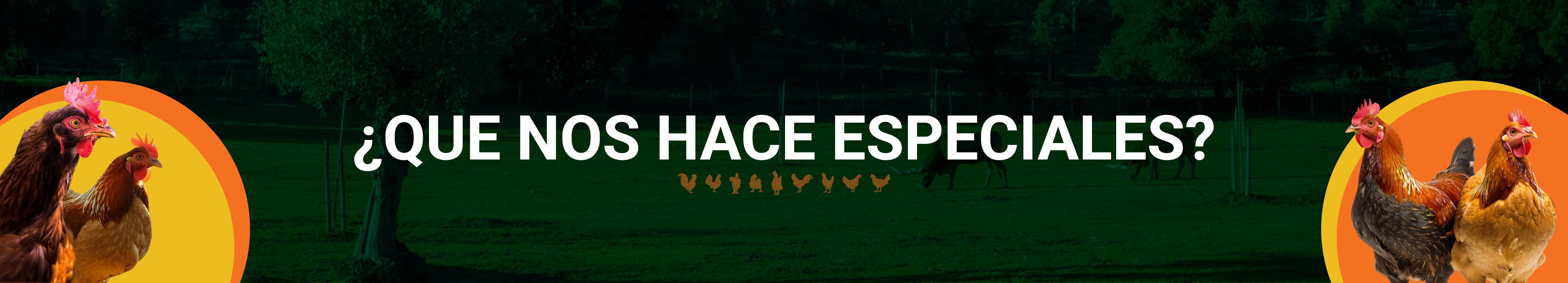 Banner de Qué nos hace especiales